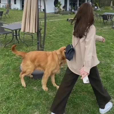 战胜恶魔